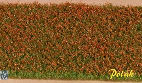 5971 Lúčne kvety - červené, Polák model