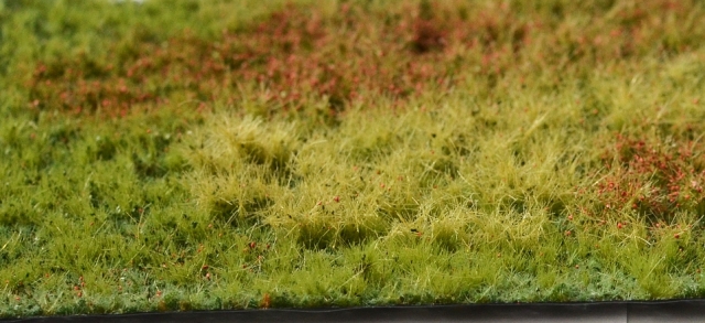 4707 Divoká lúka, varianta G, Polák model