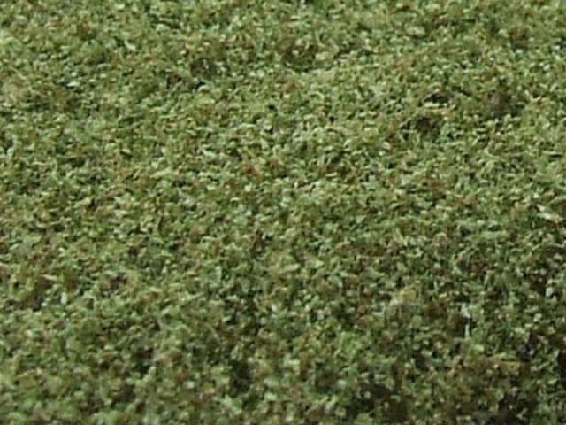 9052 Naturex mikro lístie, farba zelená vrbová
