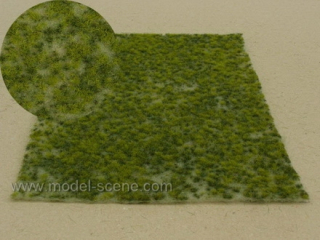 F518 Model scene, trsy