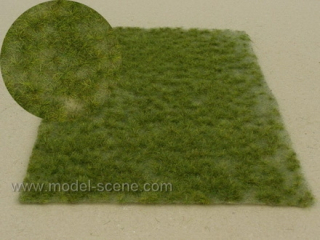 F514 Model scene, trsy