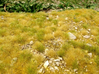 F713 Model scene, foliaž vápencové kamene
