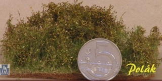 5903 Divoké kríky - jesenné, Polák model