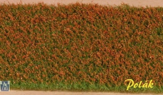 5971 Lúčne kvety - červené, Polák model