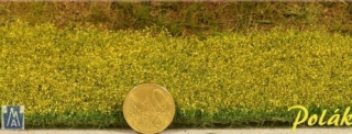 5974 Lúčne kvety - žlté, Polák model
