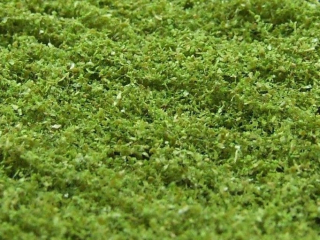 9051 Naturex micro lístie, farba zelená osiková