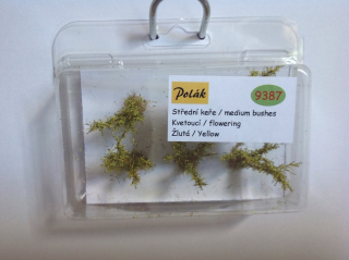 9387 Stredné kríky - kvitnúce, farba žltá, Polák model