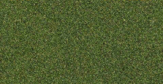 2862 NATUREX F SREDNÝ, LÍSTIE - FARBA ZELENÁ DUBOVÁ